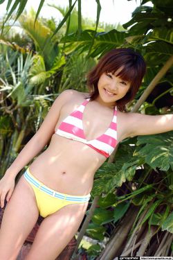《狐妖小红娘》在线观看